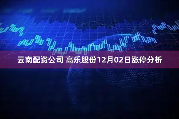 云南配资公司 高乐股份12月02日涨停分析